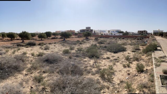 2024_11_05_13_08_IMG_6709