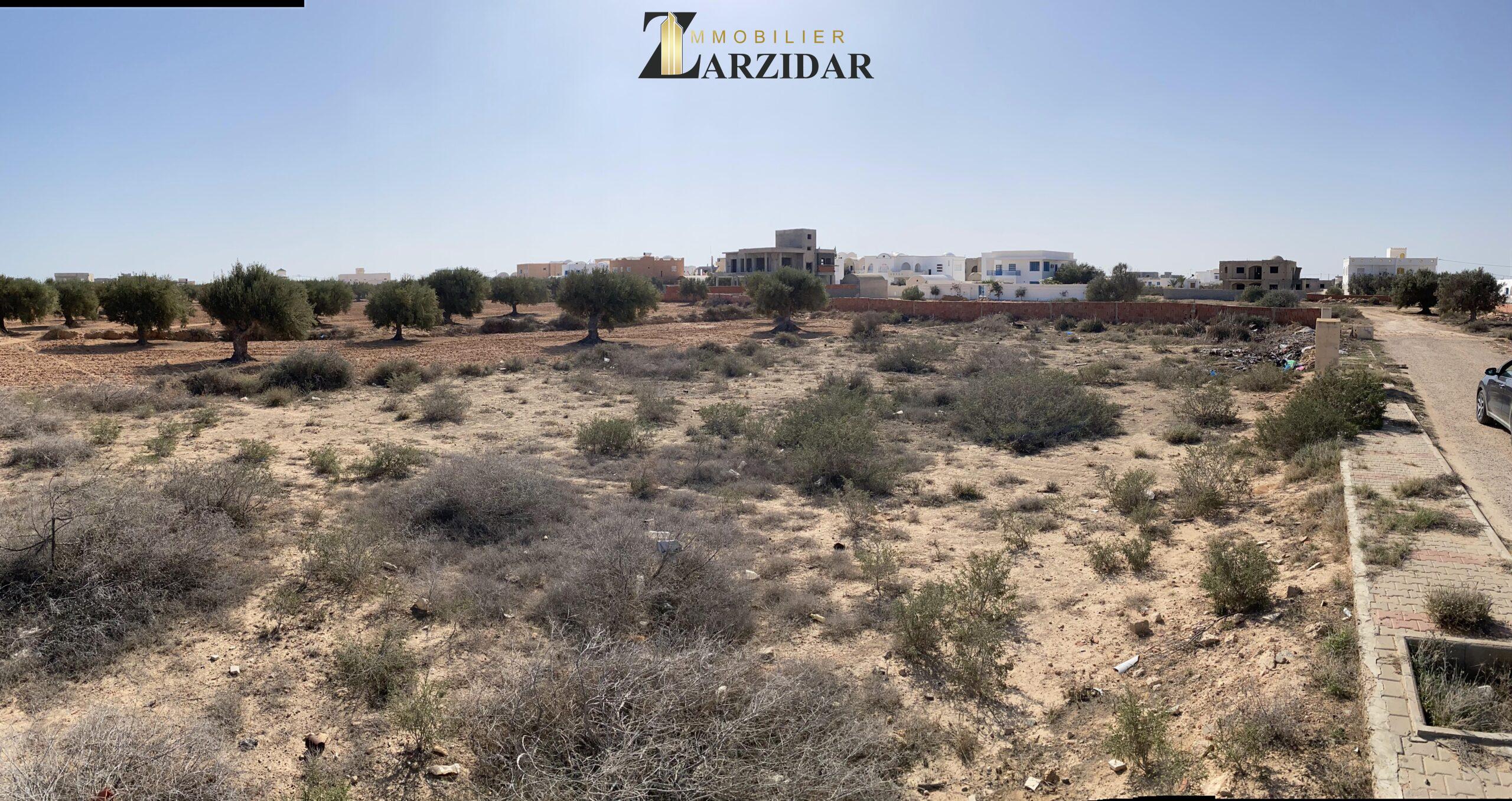 2024_11_05_13_08_IMG_6709 scaled